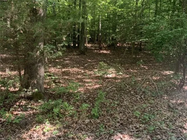 New Kent Hwy, Lanexa, VA 23089