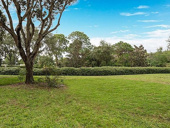 Back yard area