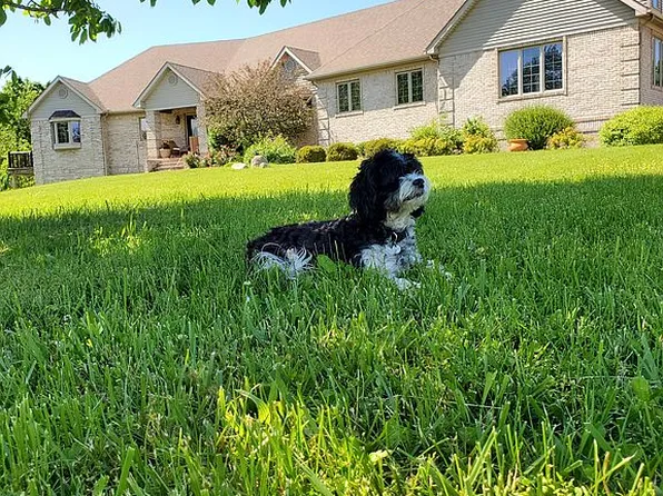 5214 Lahring Rd, Linden, MI 48451