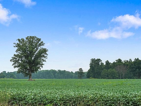5th image of 36750 Thirty Mile Rd