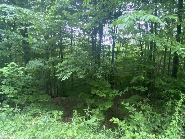 6 Fred Johnson Circle #17, Middlebury, VT 05753