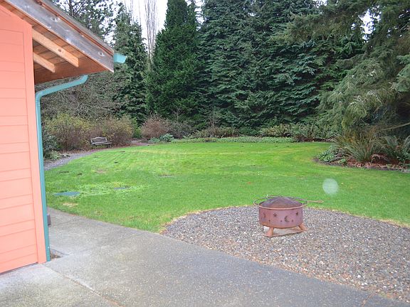 patio and backyard