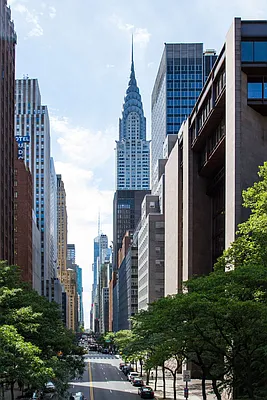 Rented by Compass | media 31