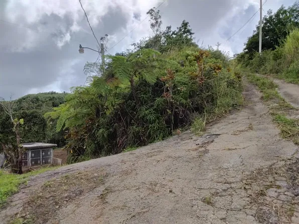 Bo Indiera Baja, Maricao, PR 00606