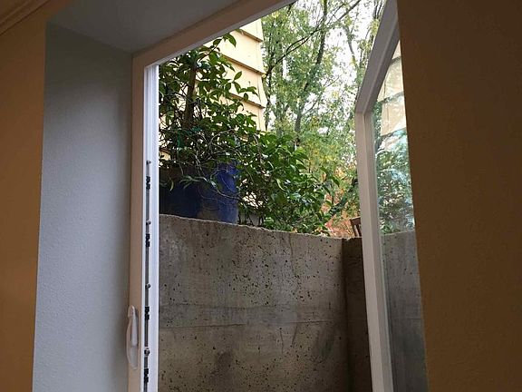 Window