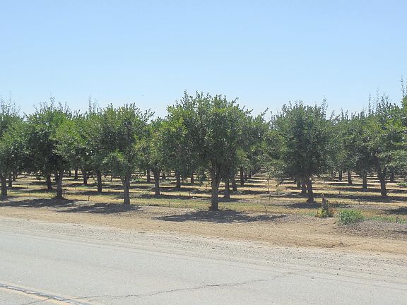 5th image of 2200 Encinal Rd