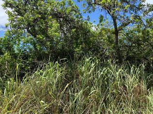 Amepela Rd LOT 25, Naalehu, HI 96772
