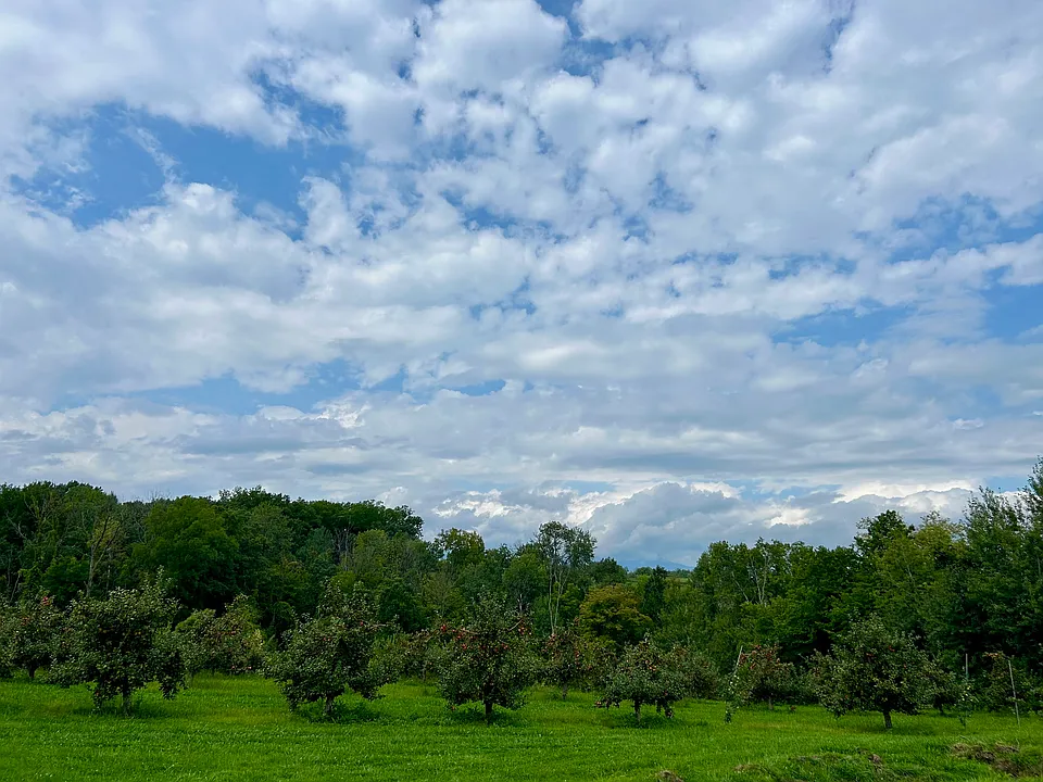 25 Helsley Rd #1