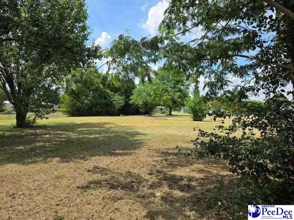 2235 Ashford Dr, Effingham, SC 29541