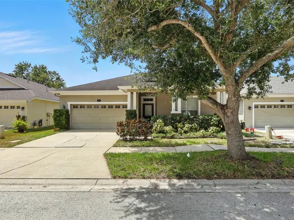 18112 Fall Creek Dr, Lutz, FL 33558