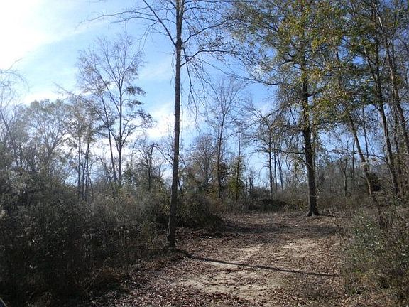 4th image of 14288 Persimmon Creek Dr