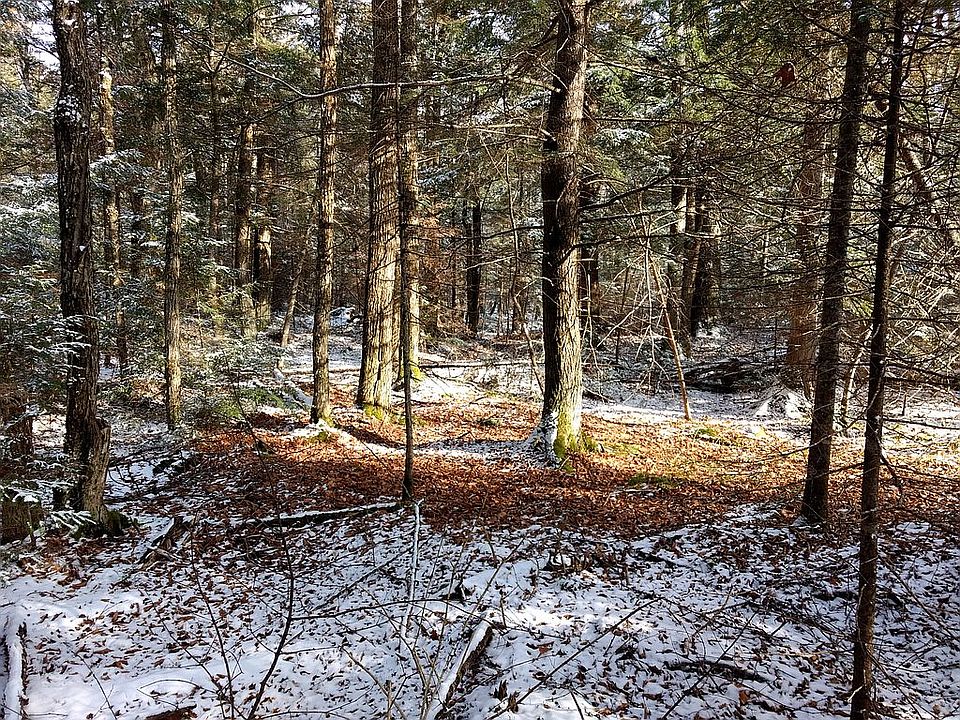 The real northwoods feeling.