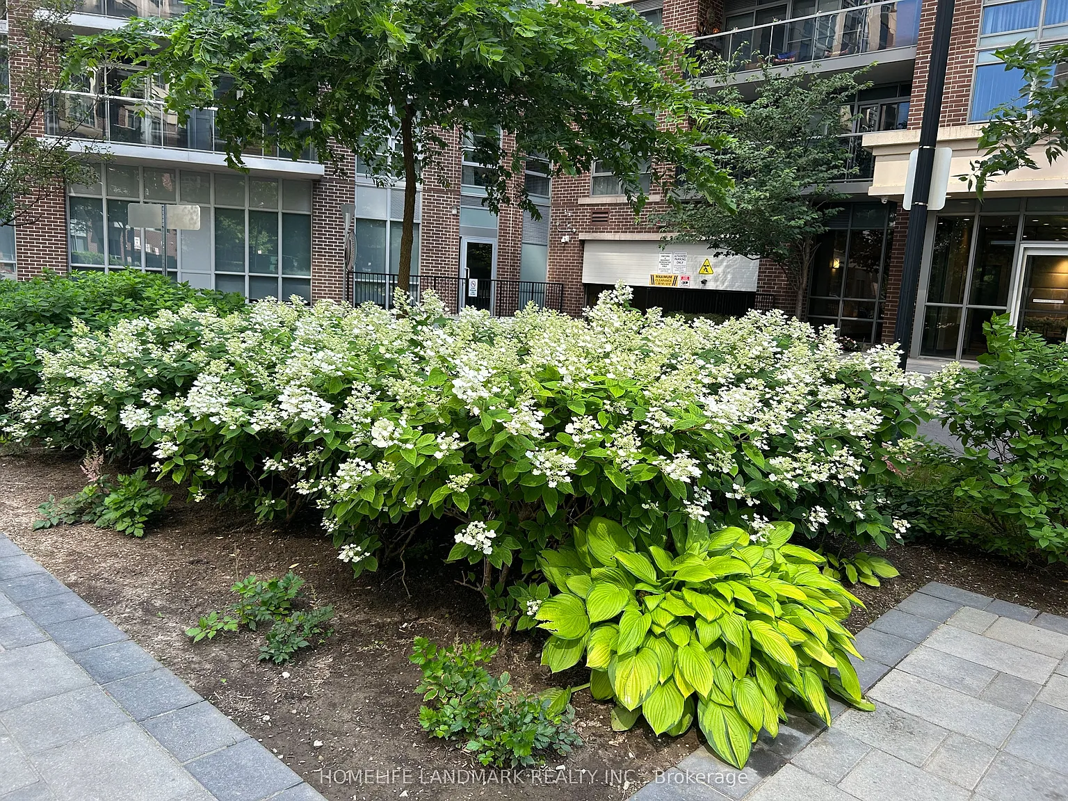 2 bed, $2,400 — Photo 3
