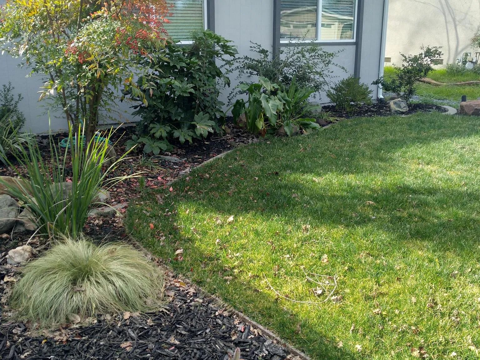 3 bed, 1300 sqft, $2,650 — Photo 2