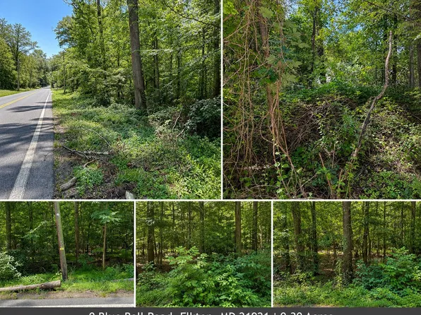 0 Blue Ball Rd, Elkton, MD 21921