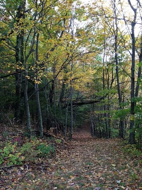 1st image of 0 Hunters Glen Dr