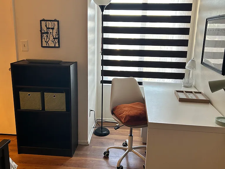 4192 Mount Alifan Pl #L — Photo 30