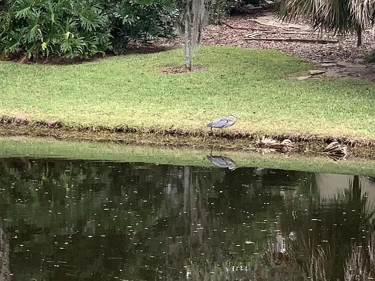 15 Turtleback Trl #15 — Photo 28