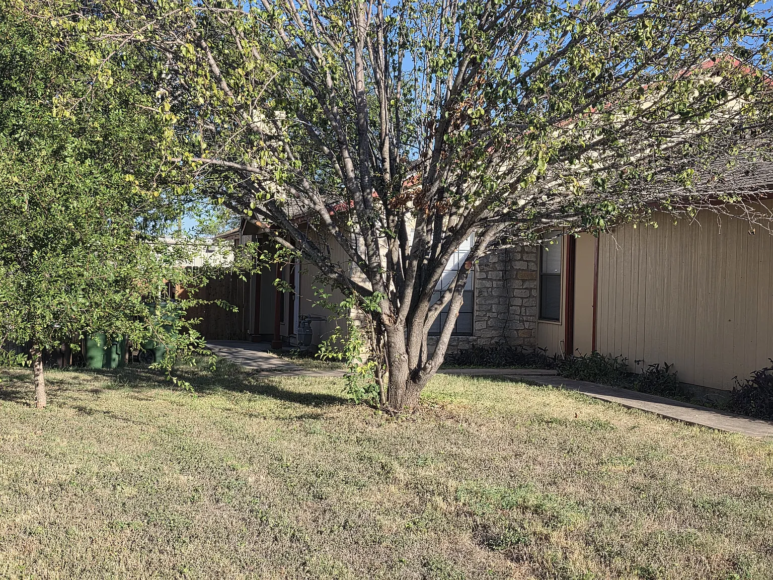 3 bed, 1200 sqft, $1,595 — Photo 3