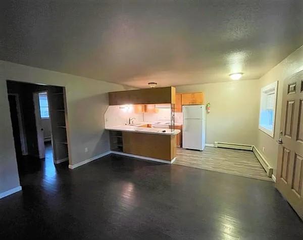 Living Room looking into kitchen and hall to bathroom, bedroom and walk-in closet. - 611 E 10th Ave #7