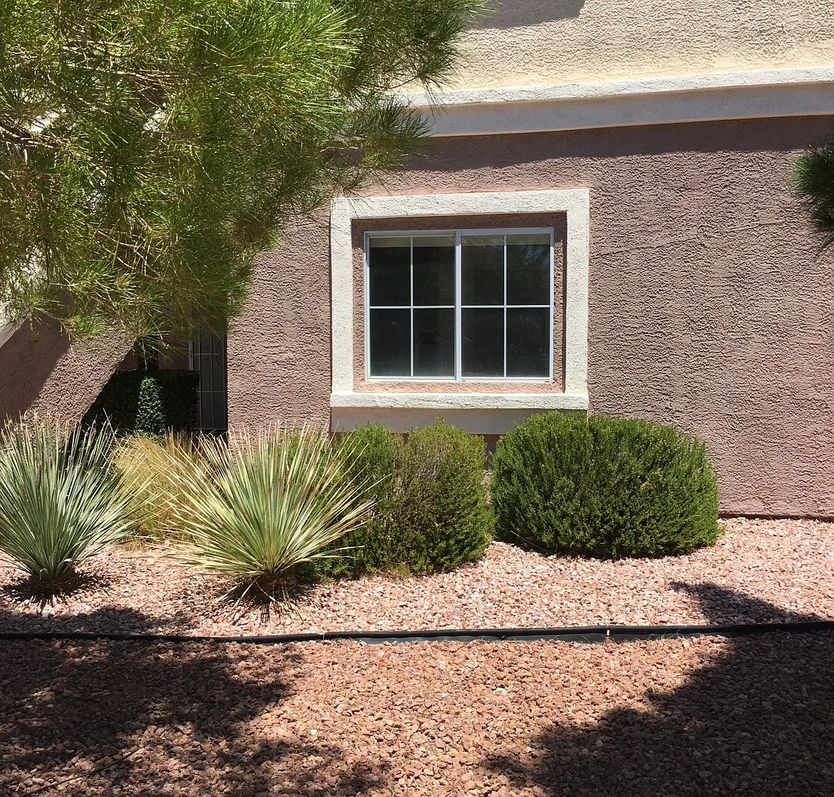 Pine Glen Ave, Las Vegas — Photo 2
