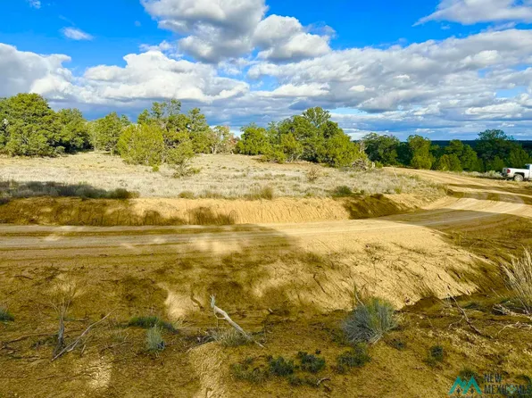 98 Great White Father Rd, Ramah, NM 87321