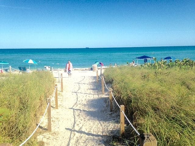 Beach View