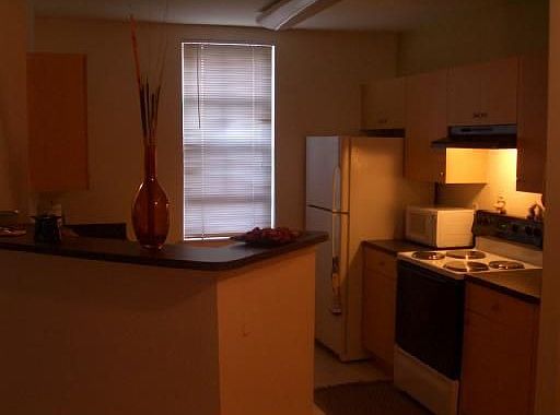 Gourmet Kitchen