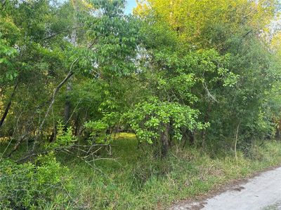 1297 NE RIVER RAFT DRIVE, Arcadia, FL, 34266
