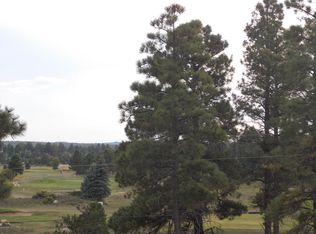 2806 Pine Hill Dr, Overgaard, AZ 85933