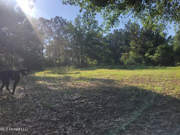 1701 Bertis Goff Rd, Moss Point, MS 39562