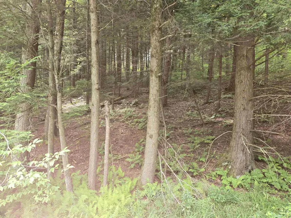 8 Bentley Lane, Jericho, VT 05465