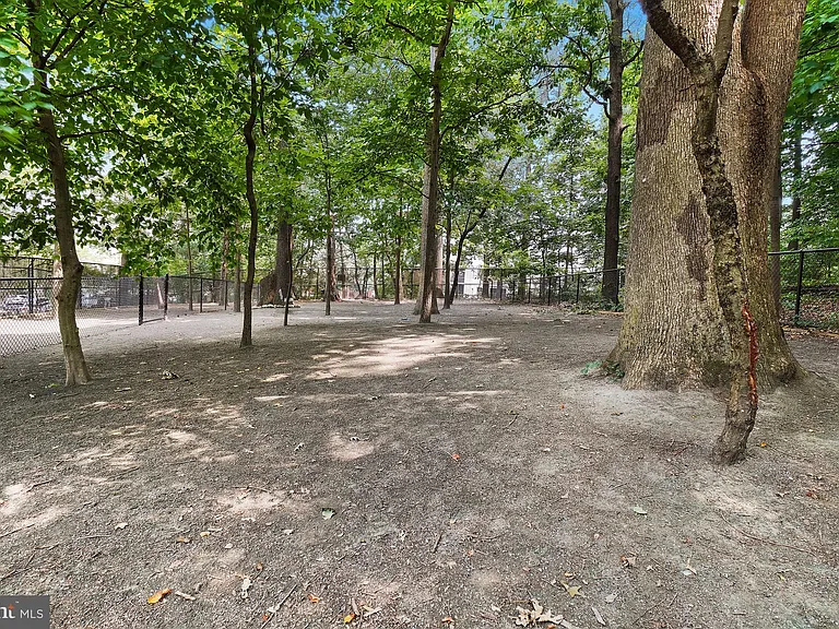 5901 Mount Eagle Dr #1517 — Photo 88