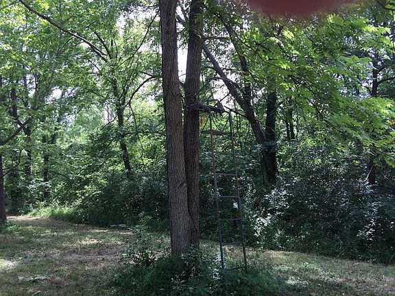 Deer Stand on property