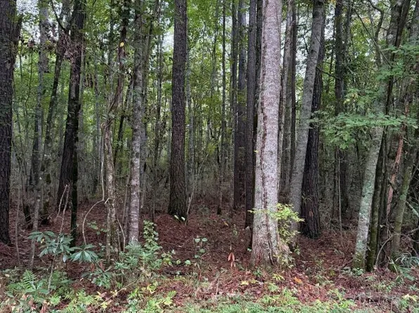 Lots 12 & 13 North River Landing Rd Lot 12, Grandy, NC 27939