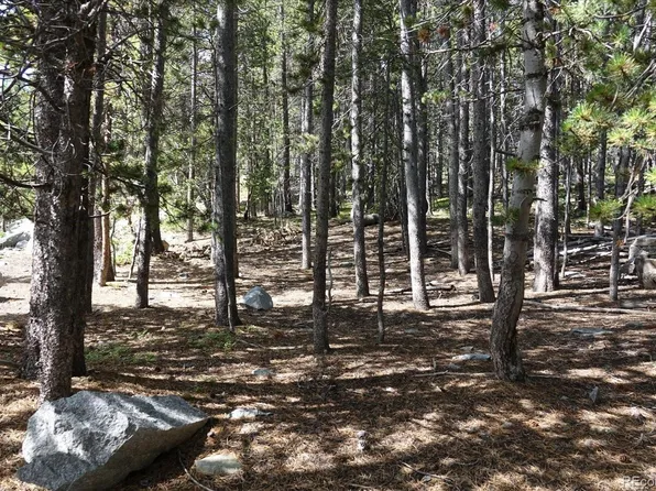 00 Upper Forest Rd, Idaho Springs, CO 80452