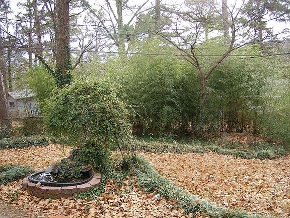 landscaped back yard