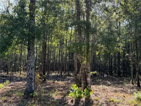 Rhonda Rd, Pearl River, LA 70452