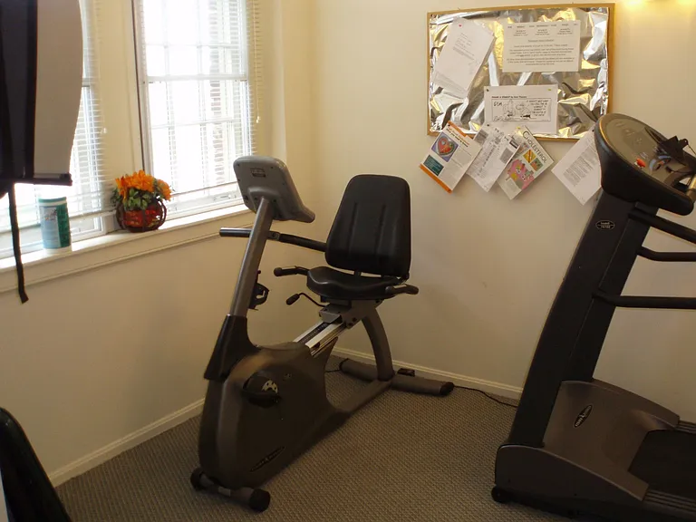 Fitness Bike