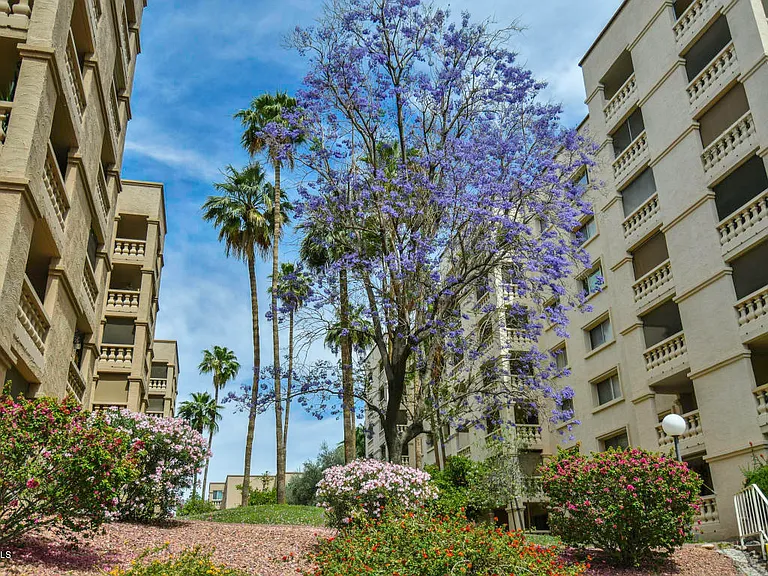 7950 E Camelback Rd #203 — Photo 2