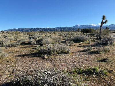 206 S X #9, Llano, CA, 93544