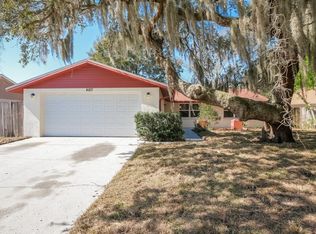 4107 Canoga Park Dr, Brandon, FL 33511