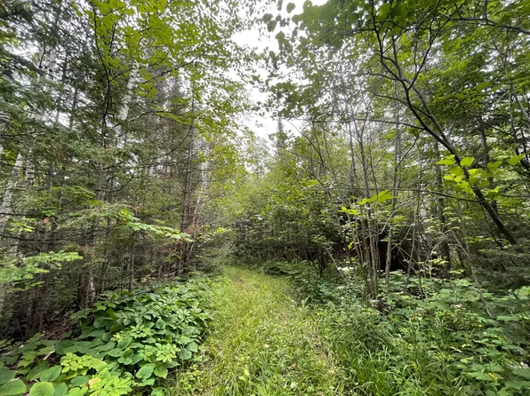 Tbd Highway 61, Two Harbors, MN 55616