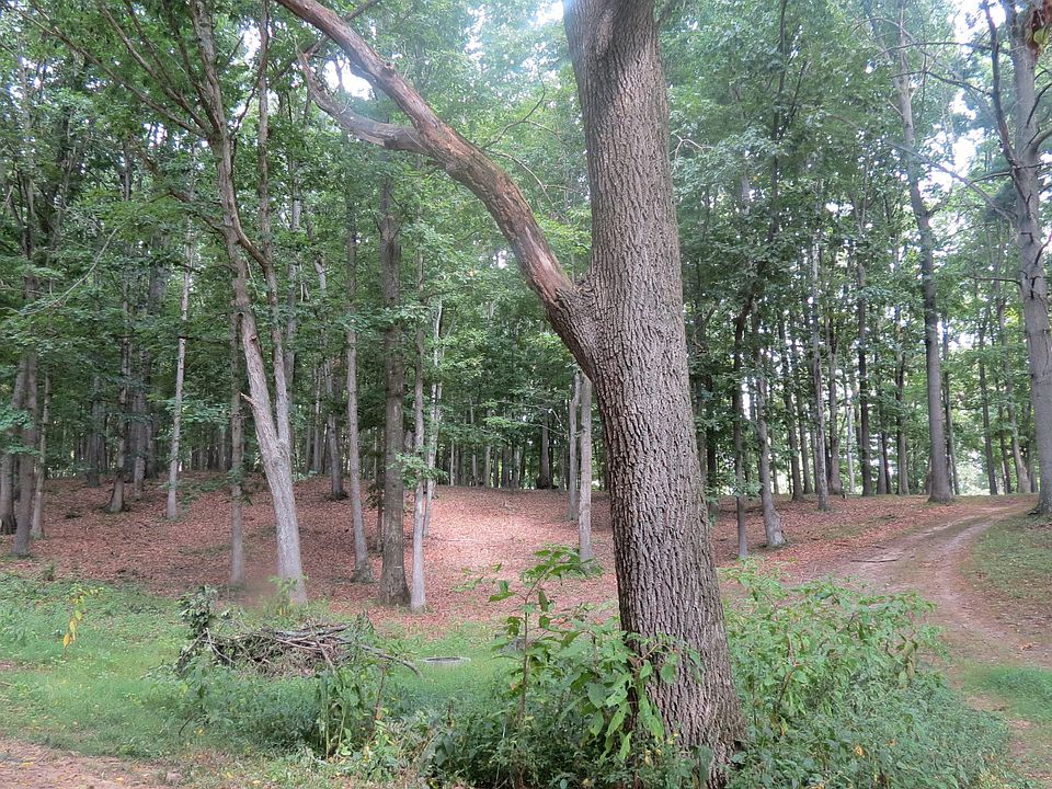 2nd image of Swoope Rd.