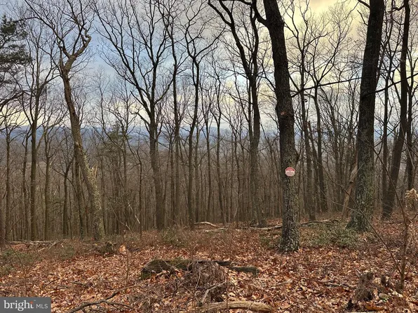 24 Sec #10, Slanesville, WV 25444