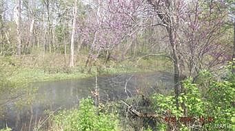 3rd image of 2452 Highway 19 N