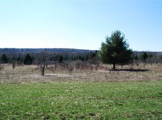 0 County Road 16 LOT 16, Swain, NY 14884