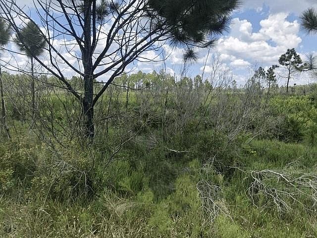 1st image of 0 Xeriscape Nursery Road