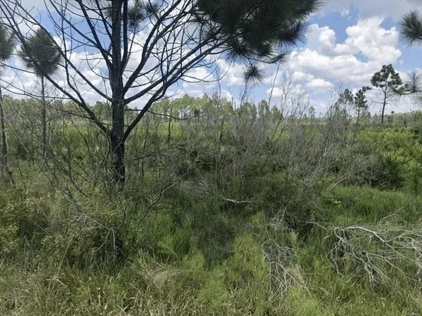 0 Xeriscape Nursery Road, Frostproof, FL 33843