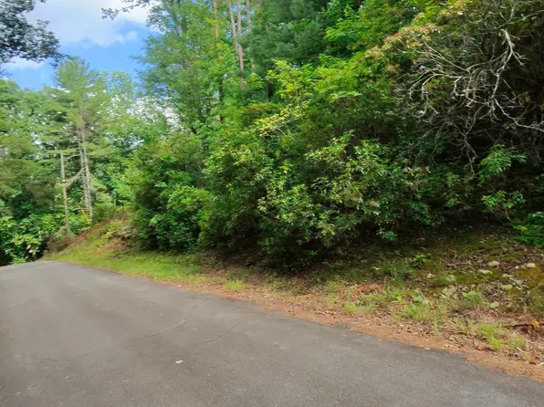 0 Silver Shoals Cir, Marietta, SC 29661